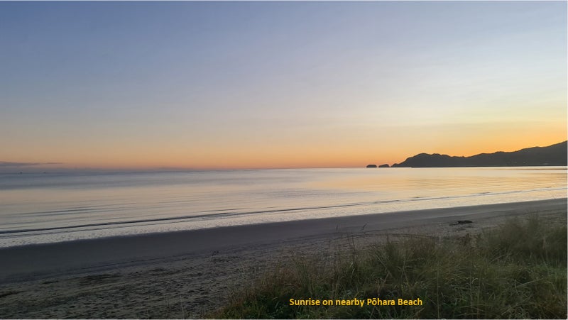 67 Selwyn Street, Pohara - Carousel 21