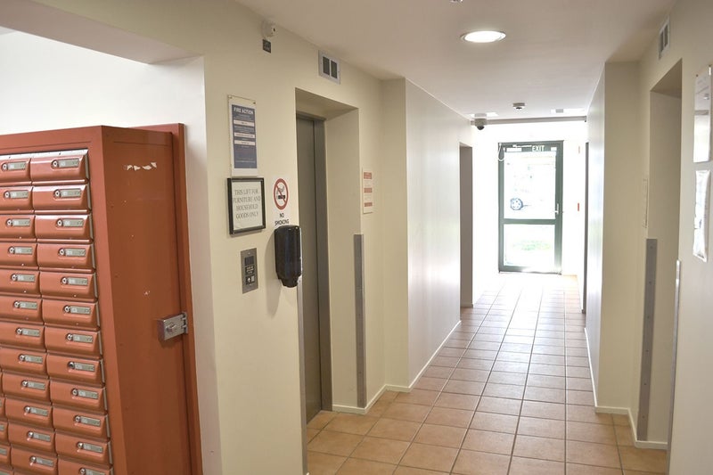 C1/13 Palm Grove, Berhampore, Wellington - Carousel 22