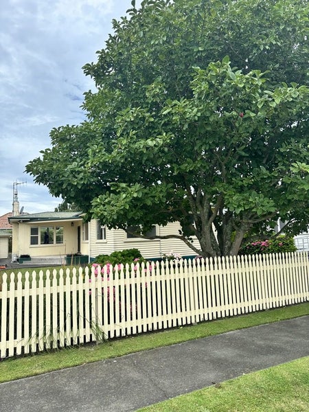 1110 Allenby Street, Akina, Hastings - Carousel 1