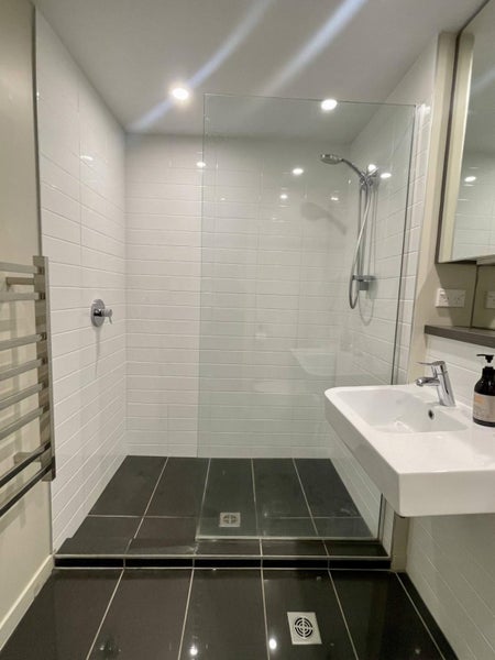 9C/30 Taranaki Street, Te Aro, Wellington - Carousel 14