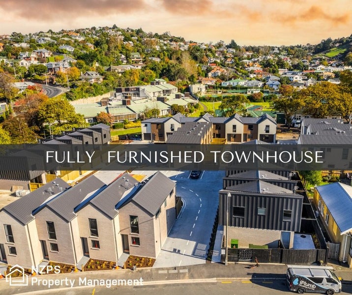 68 David Street, Caversham, Dunedin - Carousel 1