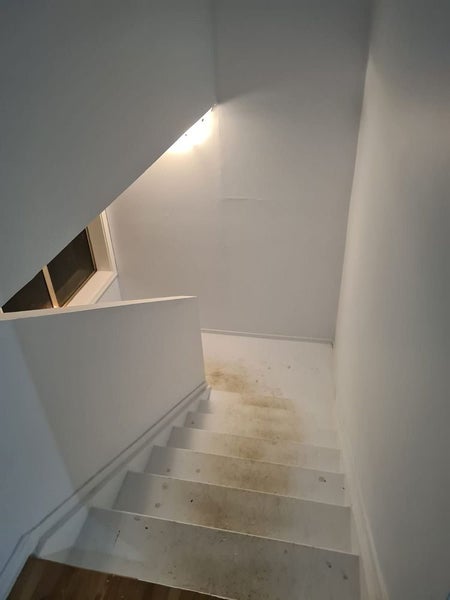 1A William Blofield Avenue, Wesley, Auckland - Carousel 19