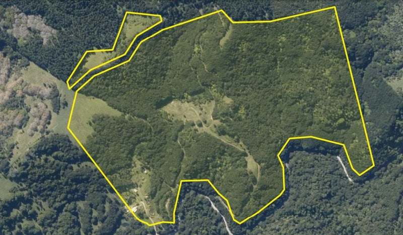 390 Toatoa Road, TAIPA, KAITAIA - Carousel 33