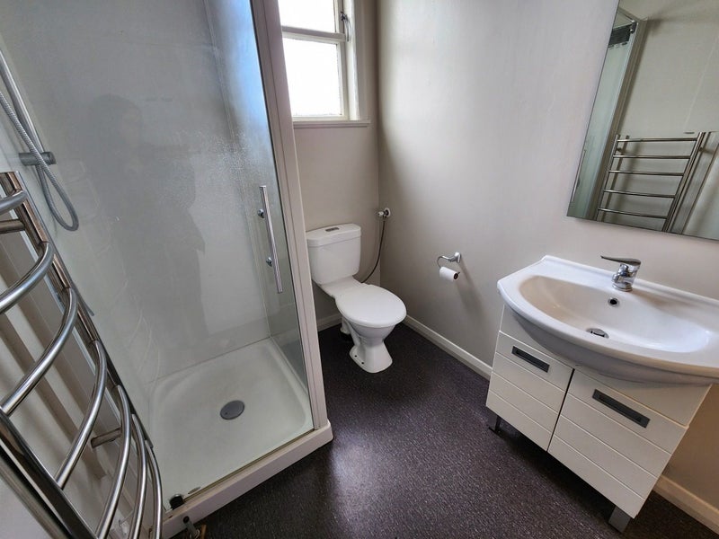 62 Nelson Street, Petone, Lower Hutt - Carousel 16