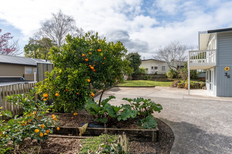 26 Thomson Avenue, Dinsdale, Hamilton - Carousel 23