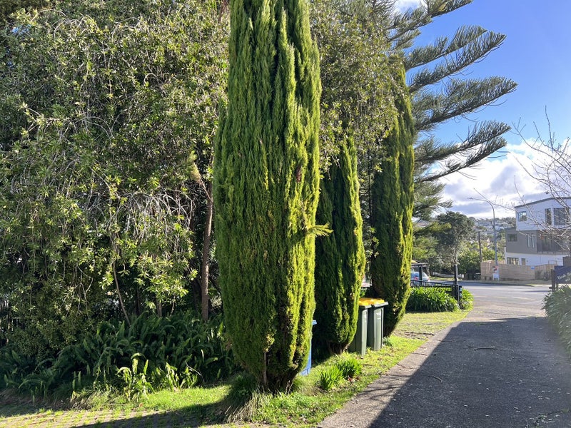 10 Oteha Valley Road, Northcross, Auckland - Carousel 12