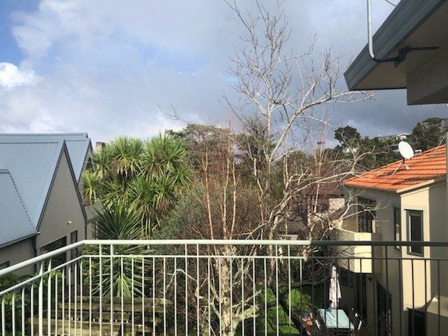 20 Bush View Lane, Northcote, North Shore City - Carousel 17