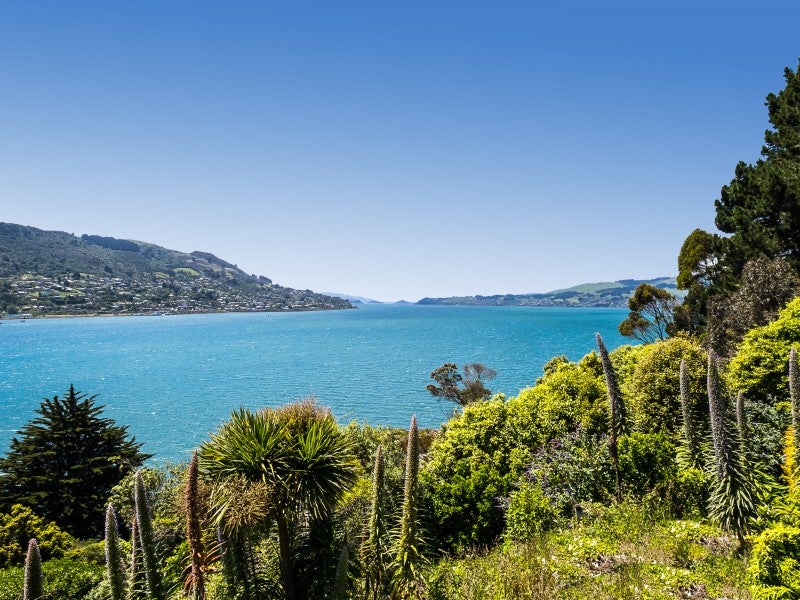 246 Portobello Road, The Cove, Dunedin - Carousel 11