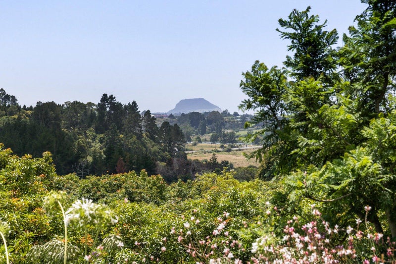 84 Oliver Road, Tauranga - Carousel 19