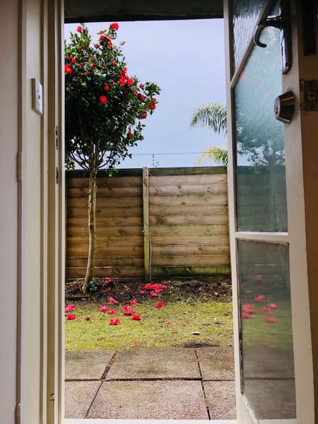 79B Firth Street, Hamilton East, Hamilton - Carousel 14