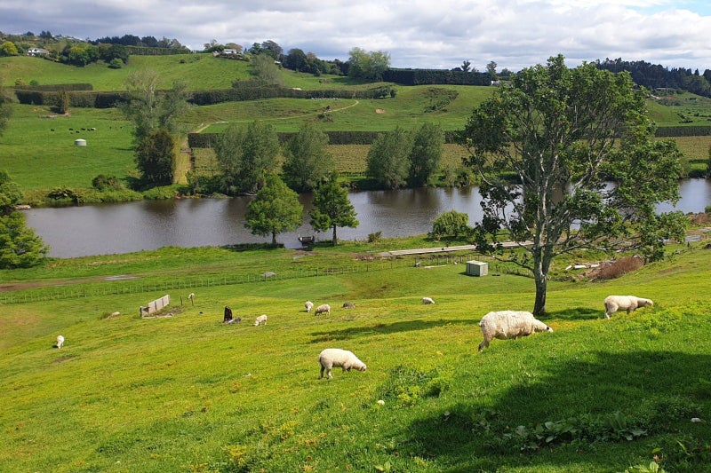 3 Kelston Way, Tauriko, Tauranga - Carousel 25