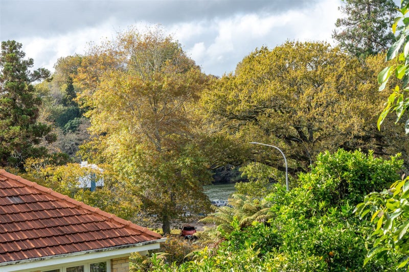 12 Tisdall Street, Hamilton Central, Hamilton - Carousel 28