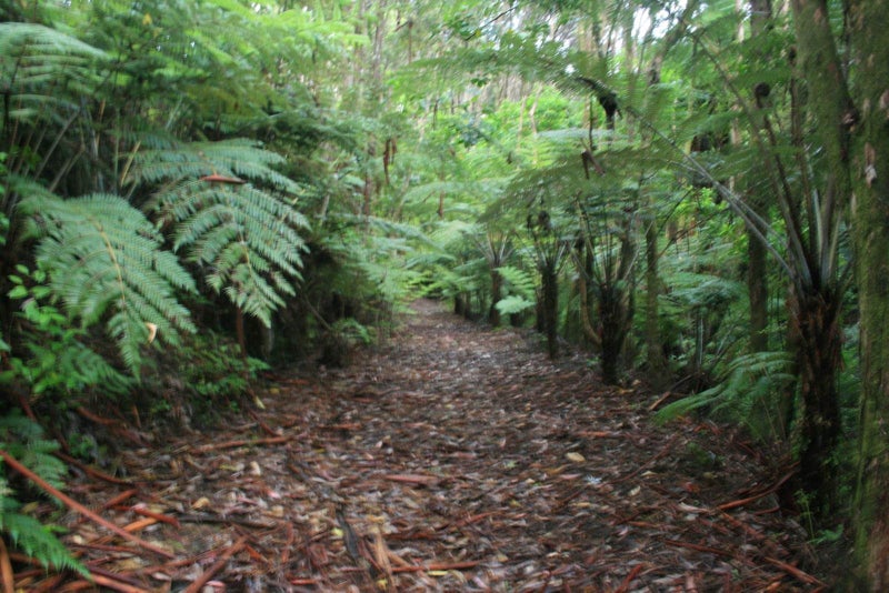 361H Paremoremo Road, Paremoremo, Auckland - Carousel 40