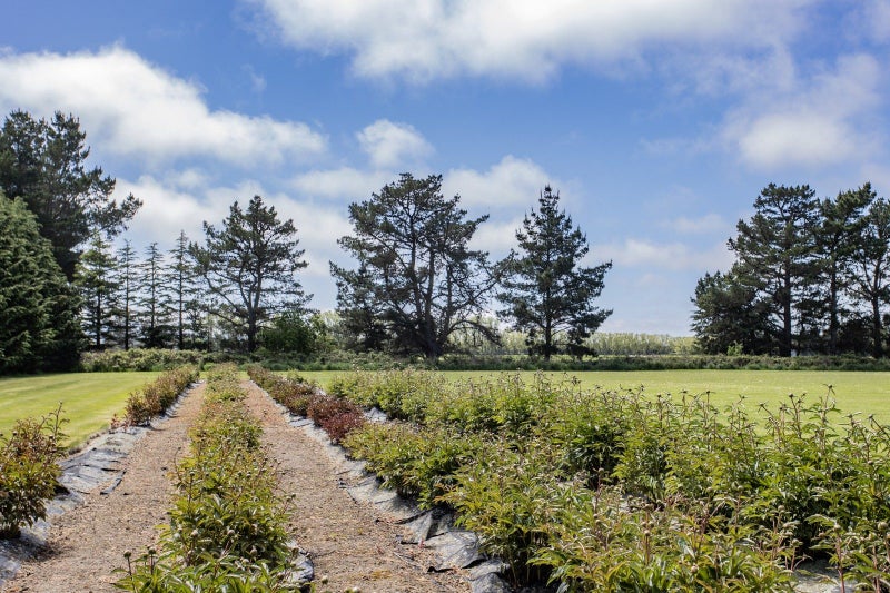 41 Ashworths Road, Kaiapoi - Carousel 39