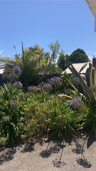 199 Halsey Drive, Lynfield, Auckland - Carousel 7
