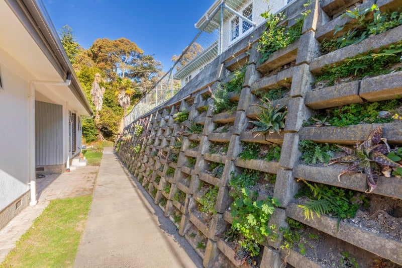 29 Goldsmith Road, Hospital Hill, Napier - Carousel 27