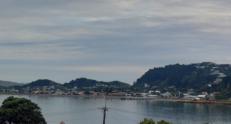 98 Awa Road, Seatoun, Wellington - Carousel 15