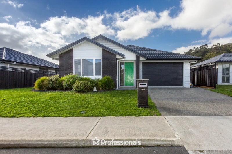 107 Mawai Hakona Drive, Wallaceville, Upper Hutt - Carousel 1