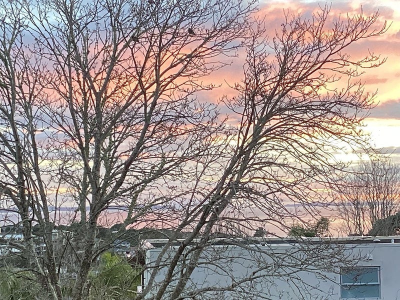 3/20 Castor Bay Road, Castor Bay, Auckland - Carousel 1