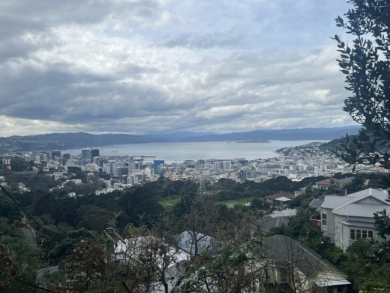23 Bruce Avenue, Brooklyn, Wellington - Carousel 17