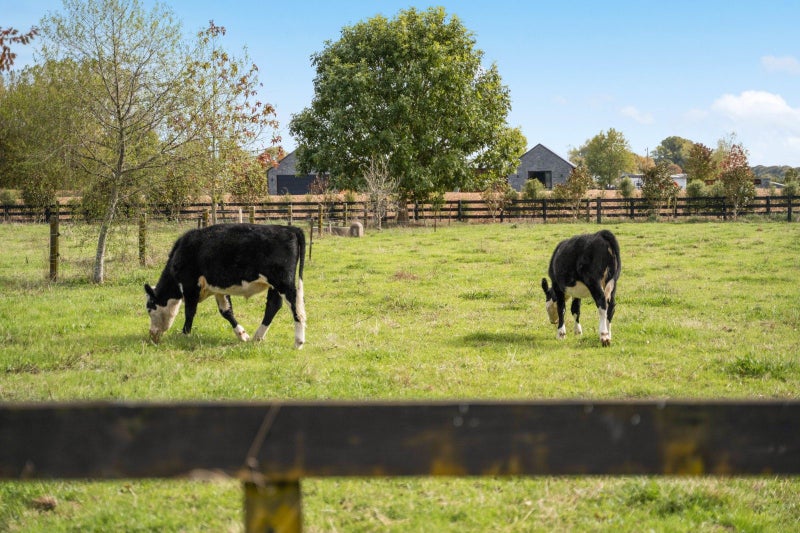 639A Tauwhare Road, Matangi, Hamilton - Carousel 25