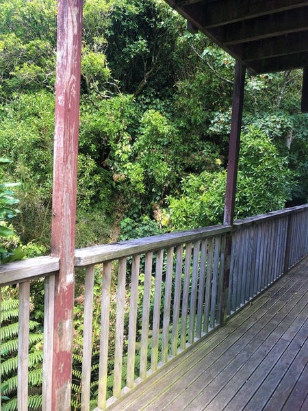 17 Awarua Street, Ngaio, Wellington - Carousel 16