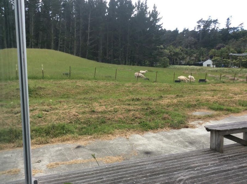 1471 East Coast Road, Albany - Carousel 1