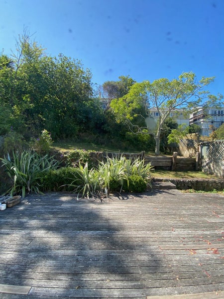 9 Wolseley Street, Morningside, Auckland - Carousel 9