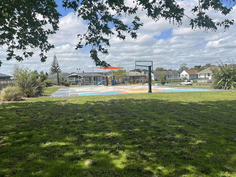 29 Raleigh Street, Awapuni, Palmerston North - Carousel 24