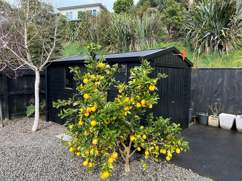 28 Fernbrook Drive, Hurworth, New Plymouth - Carousel 23