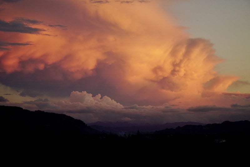 19 Island View Heights, Coastlands, Whakatāne - Carousel 18