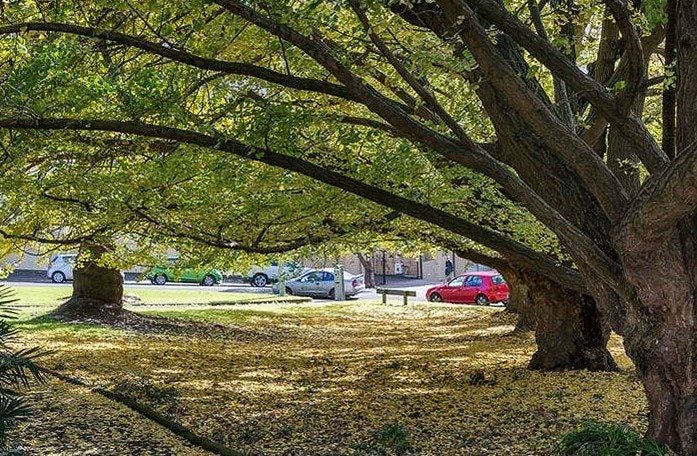 3E/2 Eden Crescent, Auckland Central, Auckland - Carousel 16