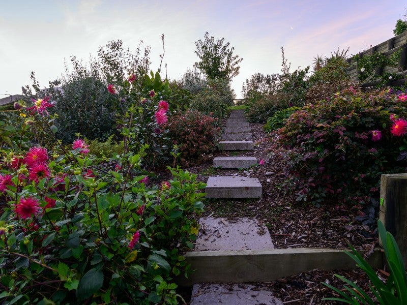 37D Flemington Place, Tikitere, Rotorua - Carousel 24