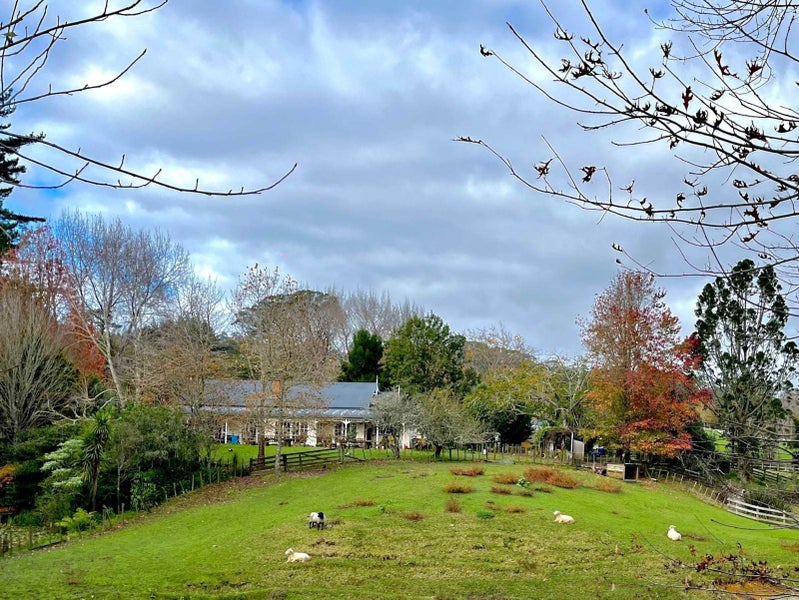 54 Elmore Road, Albany - Carousel 15