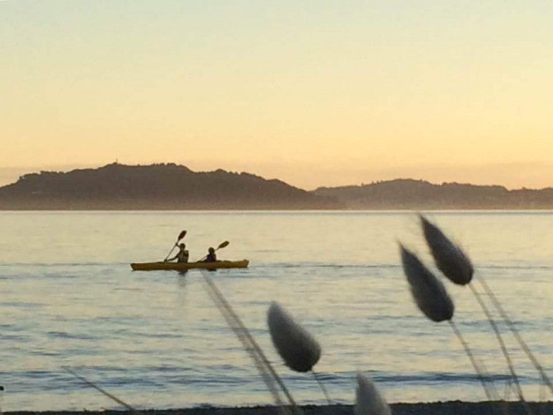 40A Tennyson Street, Petone, Lower Hutt - Carousel 1