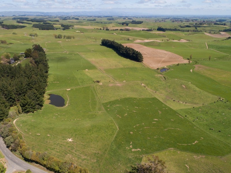 274 Finnis Road, Pohangina, Feilding - Carousel 2