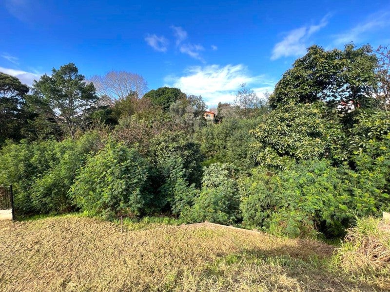 21A Glenn Terrace, Otumoetai, Tauranga - Carousel 7