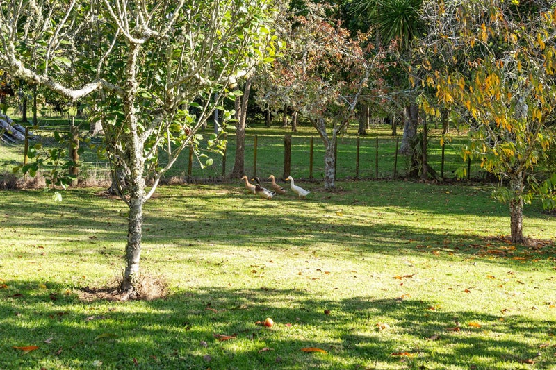 52 Mckinley Road, Whangarei - Carousel 33