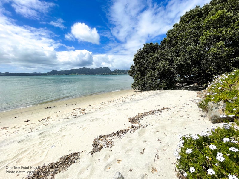 6 Olney Court, One Tree Point - Carousel 28