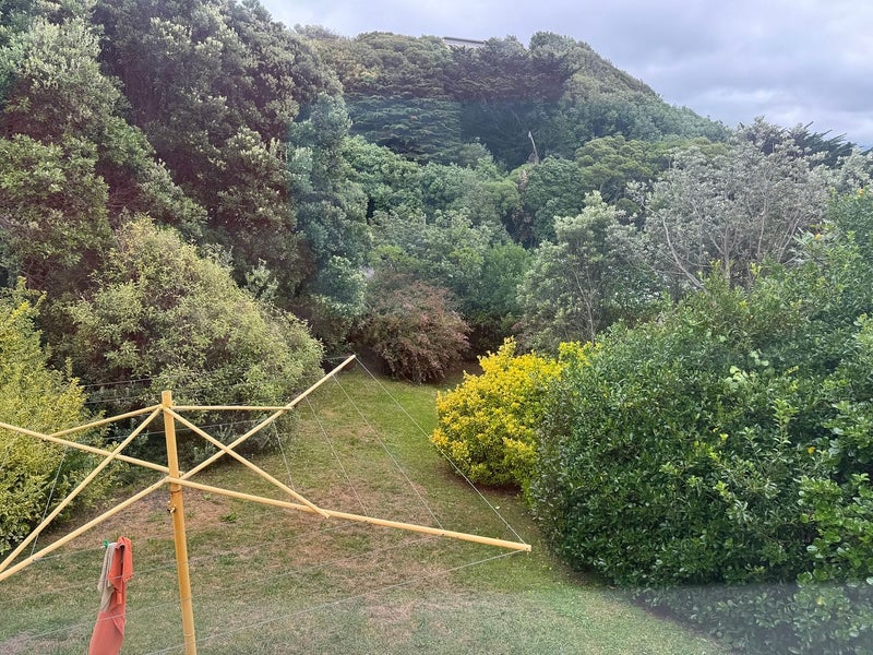 6 Sidlaw Street, Strathmore Park, Wellington - Carousel 14