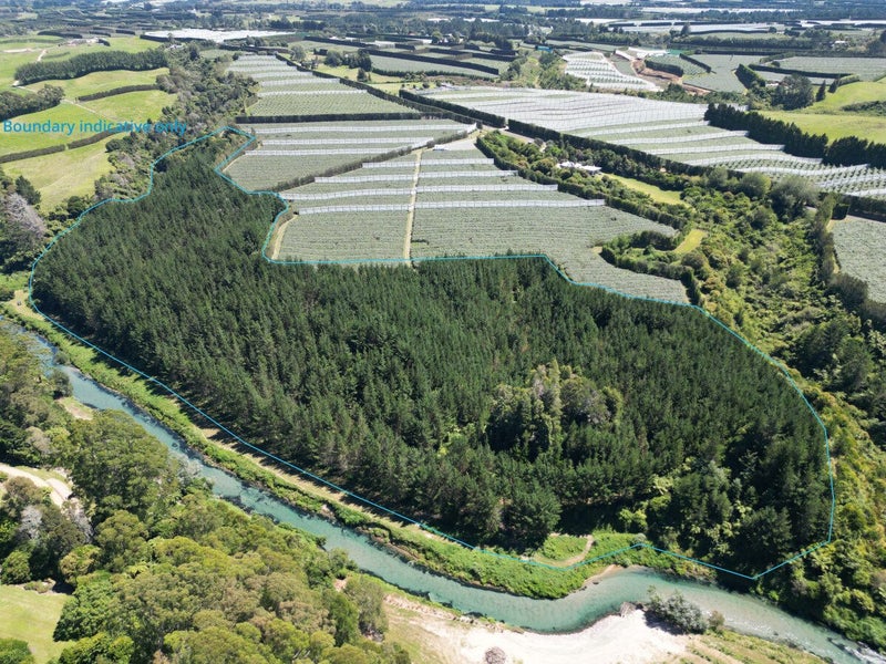 126B Casuarina Drive, Rangiuru - Carousel 1