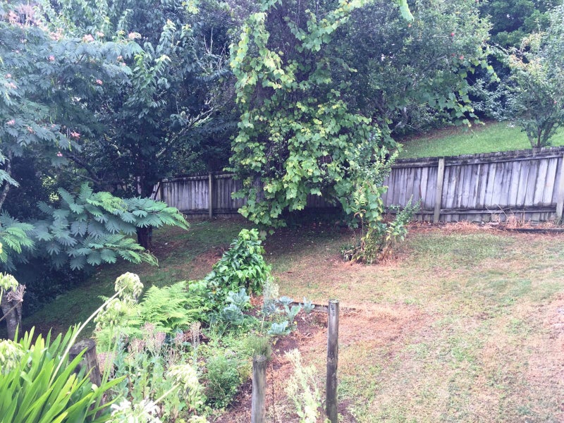 10 Dudley Place, Raumanga, Whangarei - Carousel 8