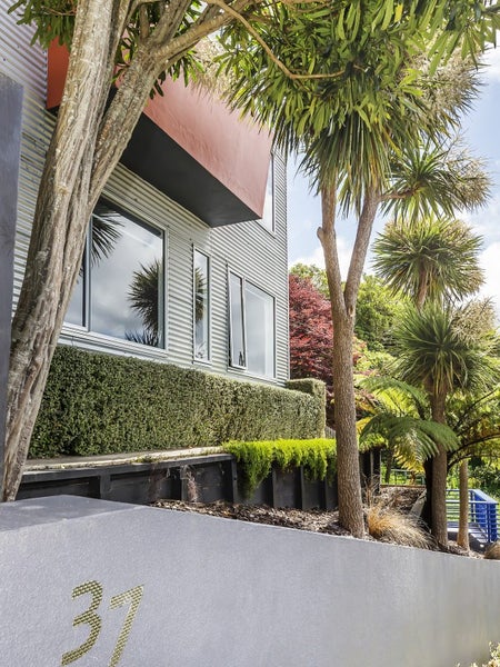 37 Whaui Street, Vogeltown, Wellington - Carousel 19