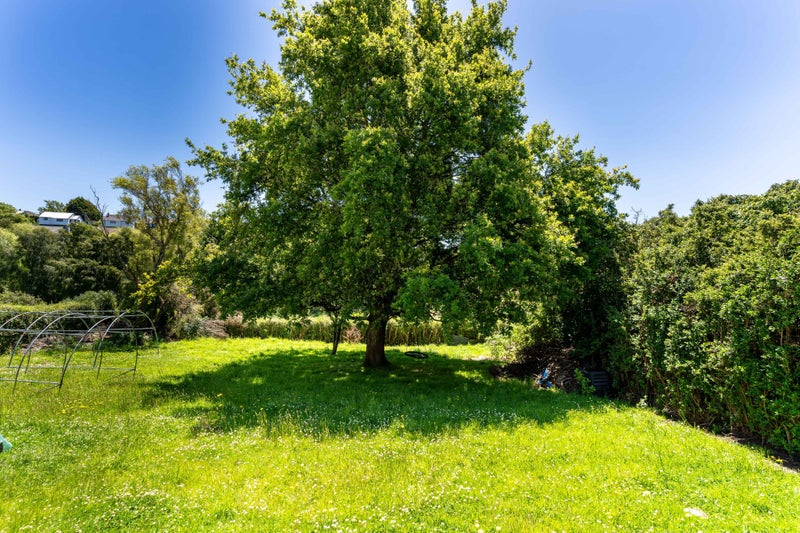 20 Panmure Avenue, Calton Hill, Dunedin - Carousel 19
