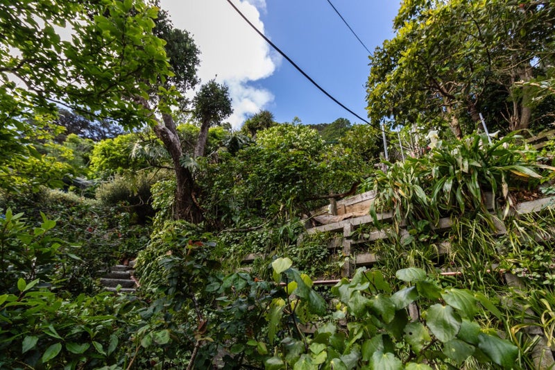 34 Norway Street, Aro Valley, Wellington - Carousel 33