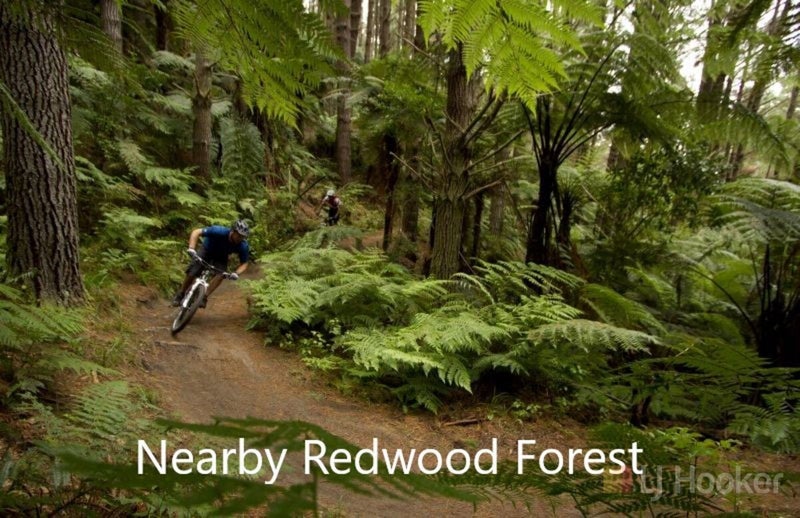 58A Lynmore Avenue, Lynmore, Rotorua - Carousel 18