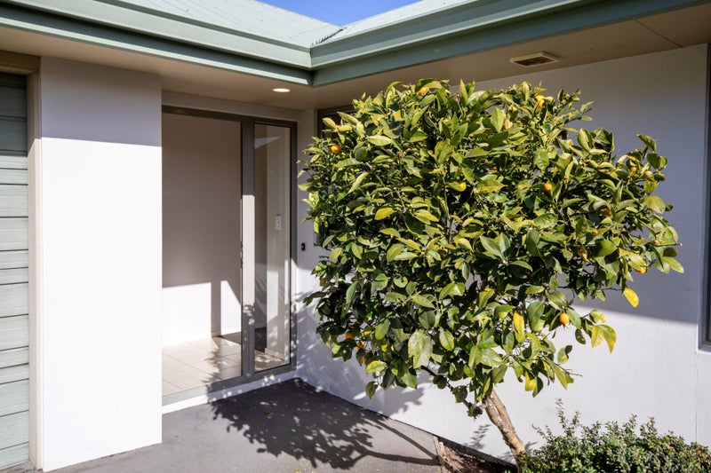 48A Richards Avenue, Papanui, Christchurch - Carousel 21