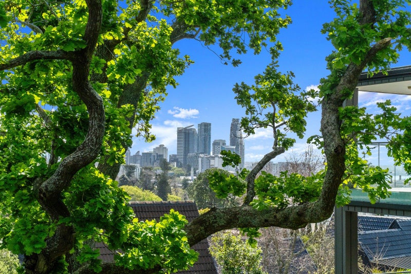 9/439 Parnell Road, Parnell, Auckland - Carousel 2