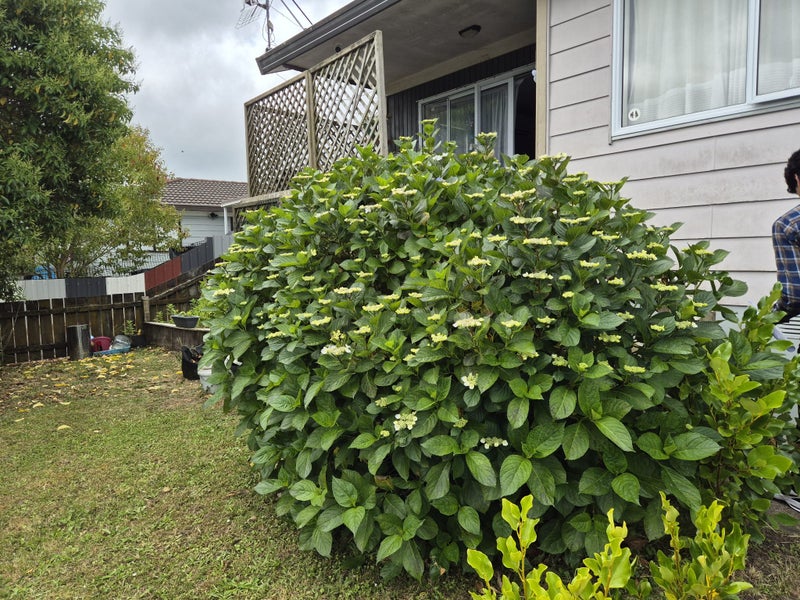 32 Armada Drive, Ranui, Auckland - Carousel 2