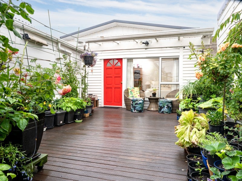 12 Emmett Street, Newtown, Wellington - Carousel 2